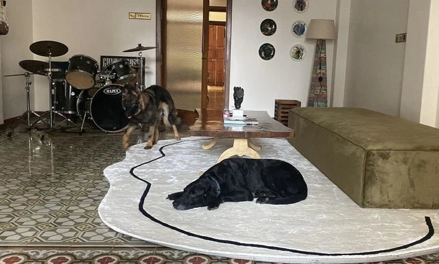 Mira Irregular Hand Tufted Carpet & Rug